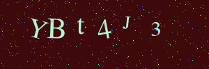 Validation image